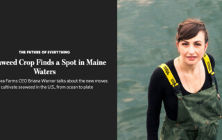 A Seaweed Crop Finds a Spot in Maine Waters