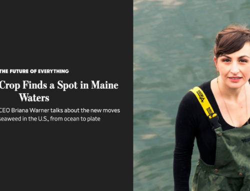 June 28, 2024 – Wall Street Journal: The Future of Everything: A Seaweed Crop Finds a Spot in Maine Waters | Atlantic Sea Farms